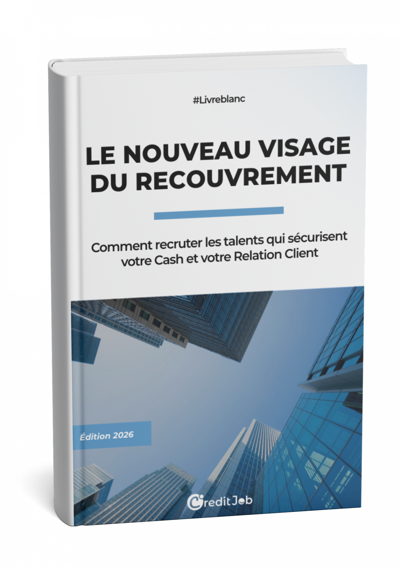 Le Nouveau Visage du Recouvrement