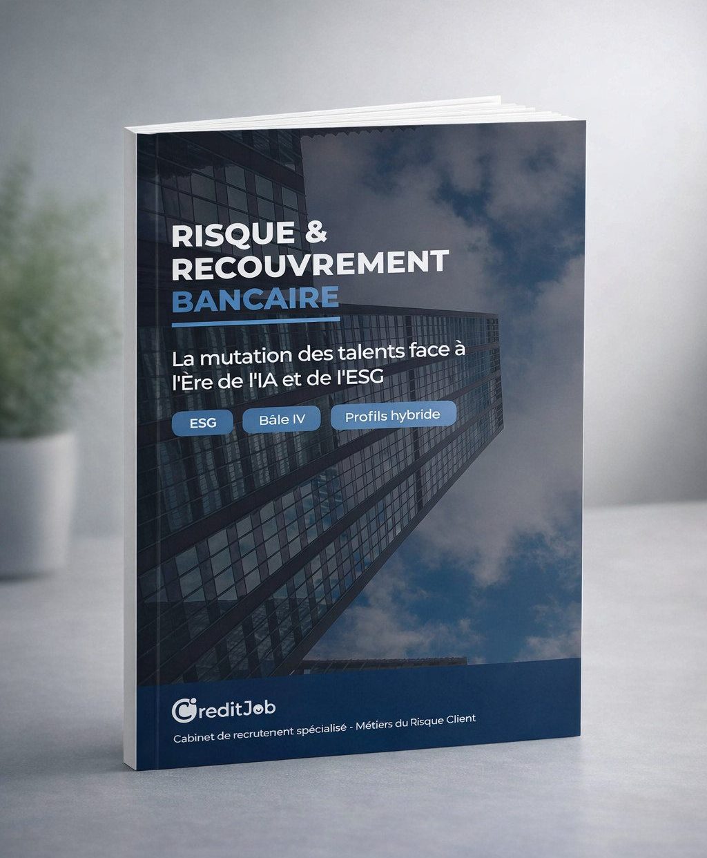 Risque et recouvrement bancaire